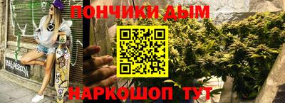 трава Новодвинск