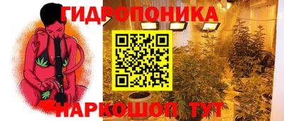 трава Новодвинск